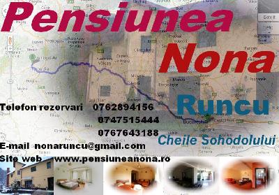 Vila Nona, Runcu, judetul Gorj