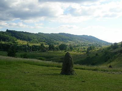 Pensiunea Dolina, Damis, judetul Bihor