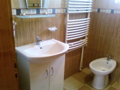 Pensiunea Alina din Poienile Izei, Poienile Izei, judetul Maramures