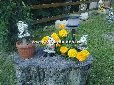 Pensiunea Casa din Deal, Govora, judetul Valcea