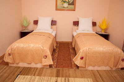 Pensiunea Ovidiu, Baia Mare, judetul Maramures