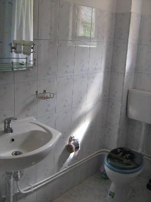 Vila Fany Vis, Albac, judetul Alba