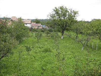 Pensiunea Casa cu Livada, Saliste, judetul Sibiu