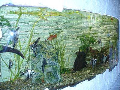 Hotel Atlante, Simleu, judetul Salaj