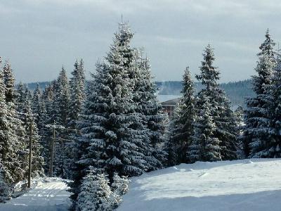 Pensiunea Montprezident, Smida, judetul Cluj
