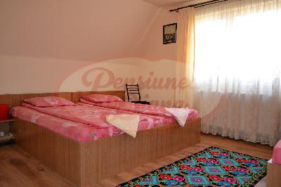 Pensiunea Diana, Cristur, judetul Hunedoara