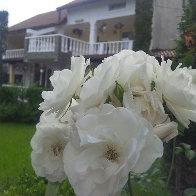 Vila Casa Teo, Baia de Fier, judetul Gorj