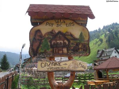 Pensiunea Pui de Urs din Moeciu de Sus, Moeciu de Sus, judetul Brasov