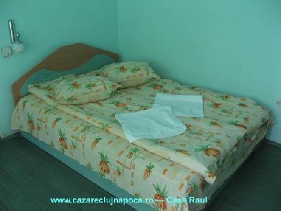 Pensiunea Raul, Cluj Napoca, judetul Cluj