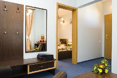 Pensiunea Ambient, Brasov, judetul Brasov