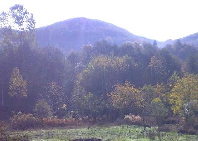 Pensiunea Casa Pedro din Danicei, Danicei, judetul Valcea