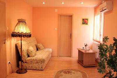 Pensiunea Andronic, Timisoara, judetul Timis