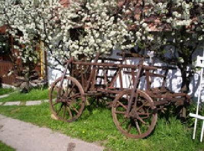 Vila Casa rustik, Baile Felix, judetul Bihor