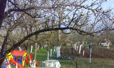 Pensiunea Casa Pedro, Lehliu, judetul Calarasi