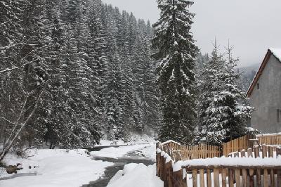 Pensiunea Lupul Singuratic, Comandau, judetul Covasna