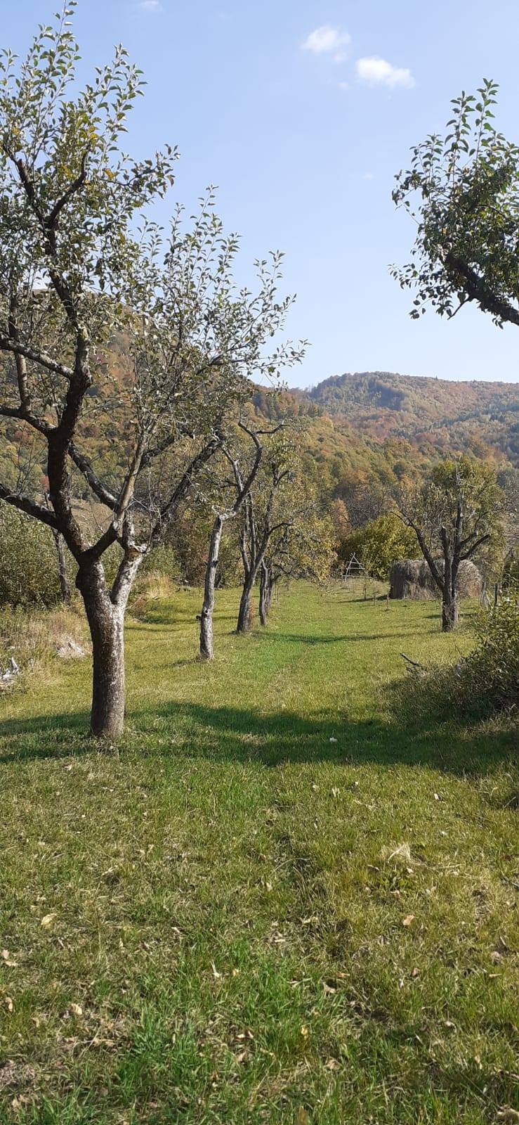 Agropensiunea La mica Ani, Nucsoara, judetul Arges