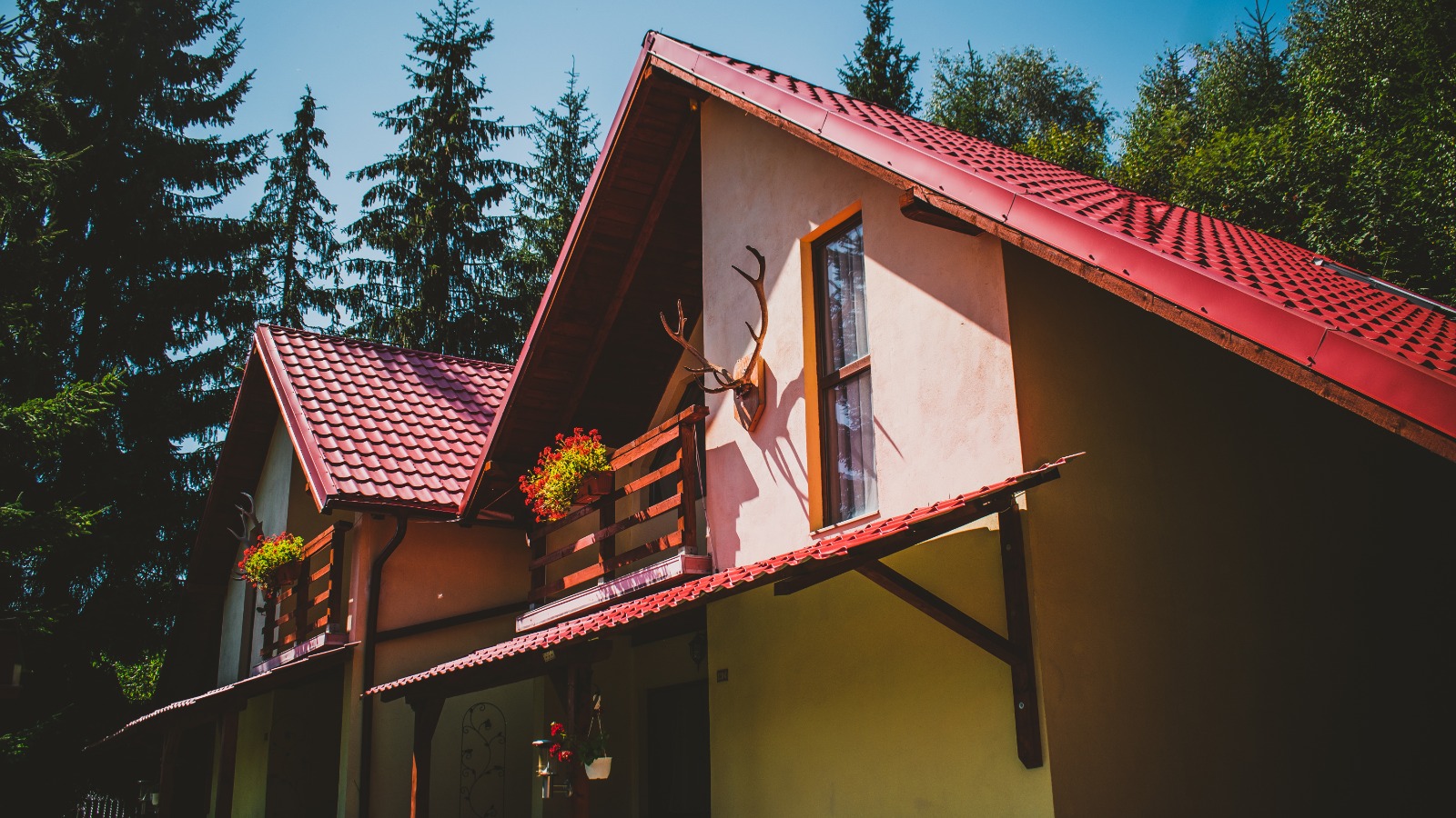 La Doi Bivoli, Comanesti, judetul Bacau