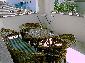 Vila Casa mea