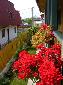 Hotelul Golden Sea