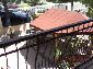 Vila David