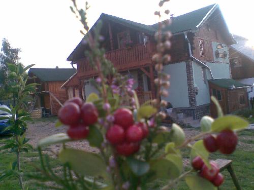 Pensiunea Cabana Nicusor, Belis, judetul Cluj