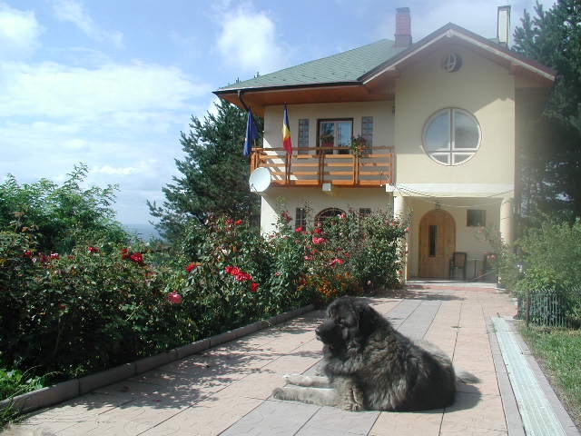 Pensiunea Calina, Paun, judetul Iasi