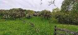 Pensiunea Poiana Marului, Bisoca, judetul Buzau